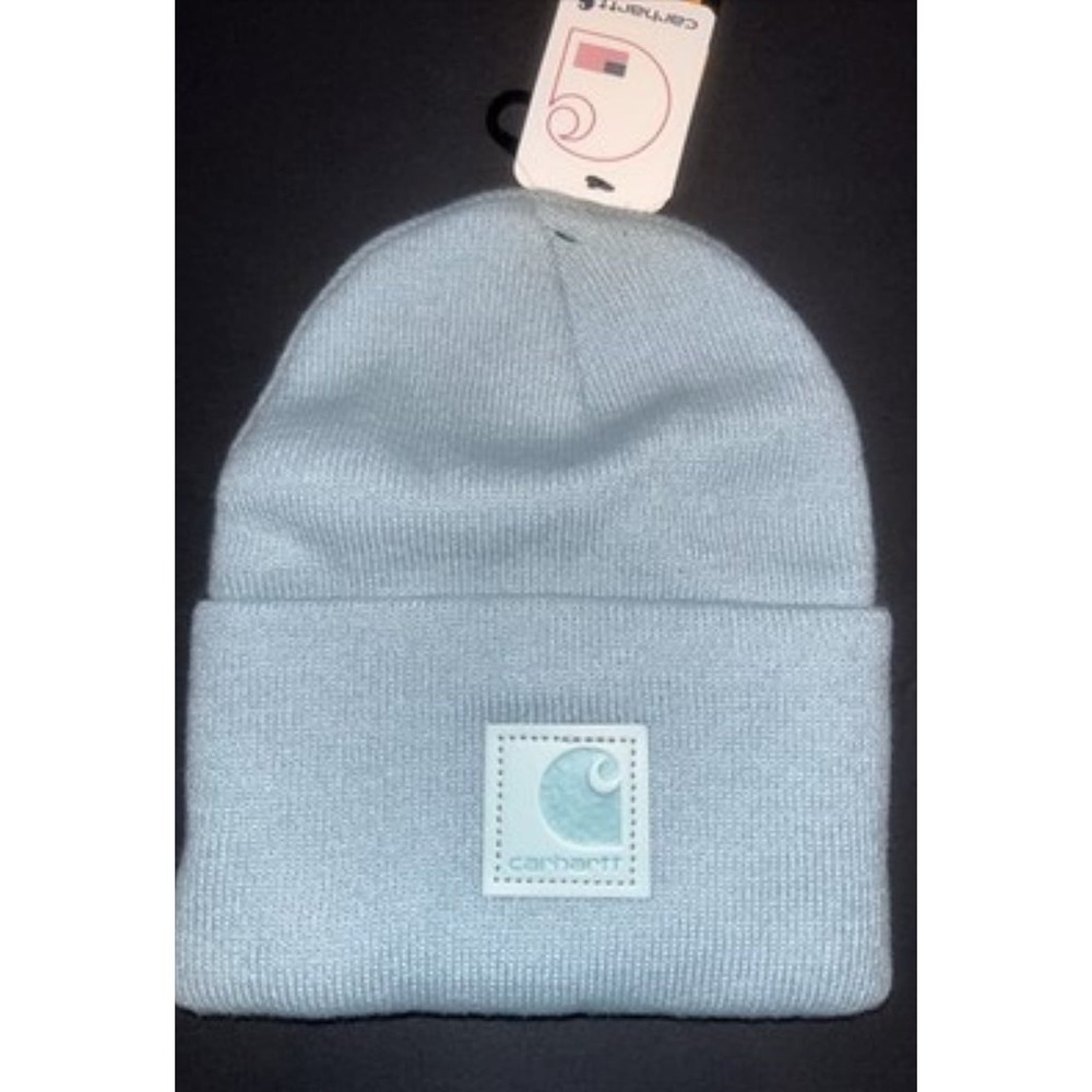 Men's Carhartt Tonal Knit Beanie One Size Blue Surf
